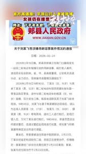 官方再通报! 平顶山打人者被批捕！
