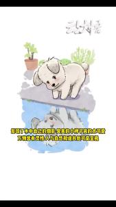 它只是当自己的倒影是个新朋友，试探性的小爪爪就说明了一切