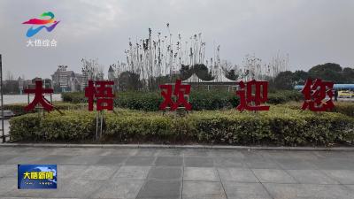 大悟：政府牵线搭桥 助力外出务工人员“点对点”返岗就业