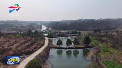 刘集镇：羊肚菌喜丰收 小菌菇撑起“致富伞”