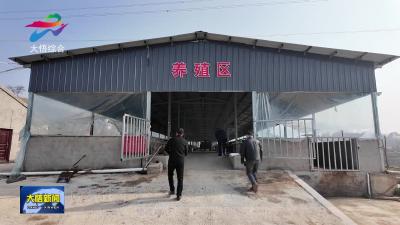 下沉一线抓春防 筑牢畜牧安全屏障