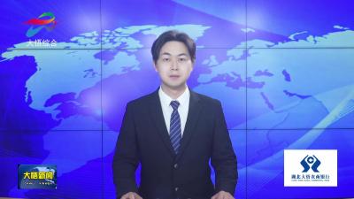 大悟：千亩高标准抹茶基地加速成型 茶旅融合赋能乡村振兴