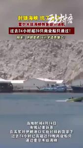敢与全世界为敌就是自取灭亡！