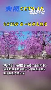 8分35秒，每一帧都是热爱。4月25日，央视CCTV15《乐游天下》倾情打造大悟专辑①《美丽的大悟》，全景推介大美大悟