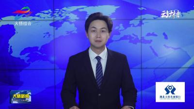 大悟开展“国家安全  青春挺膺”主题团日活动