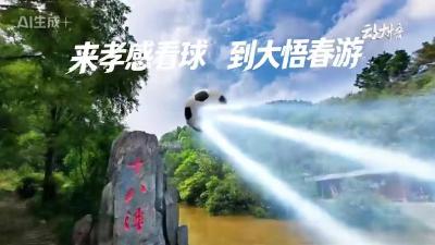 来孝感看球，到大悟春游。