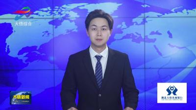 县领导调研乡村振兴工作