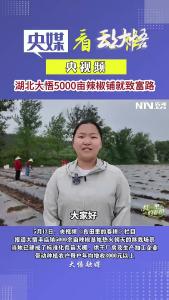 央视报道：湖北大悟5000亩辣椒铺就致富路