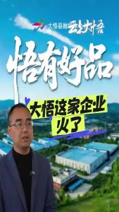 【工业经济“赋能挺脊”】②悟有好品：大悟这家企业火了！产能翻10倍，品质超可靠！