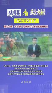 央视报道：大悟农业部门组织数百台收割机麦田抢收