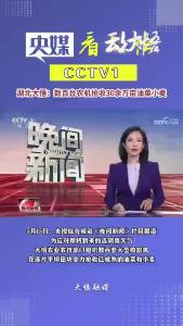 央视报道：大悟数百台农机抢收30余万亩油菜小麦