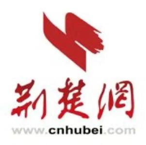 110项重点工作清单，武汉着力打造全国营商环境新高地