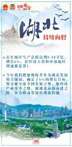 湖北代表团开放团组会议，透露哪些发展信号？