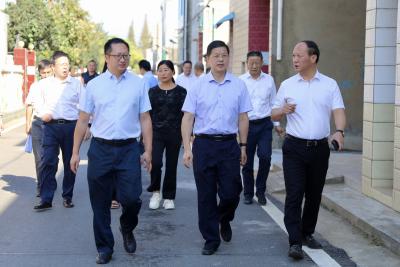 高文峰等县领导调研黑臭水体治理工作