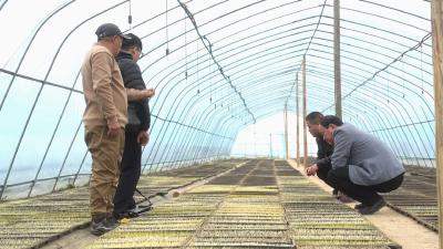 革新破局育秧技术 夯实粮食丰产根基