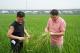 云梦：智慧夏管模式助粮食增收
