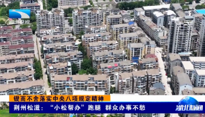 锲而不舍落实中央八项规定精神 | 荆州松滋：“小松帮办”跑腿 群众办事不愁