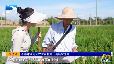 党旗在基层一线高高飘扬 | 汤俭民：“泥腿子”专家的“金种子”传奇