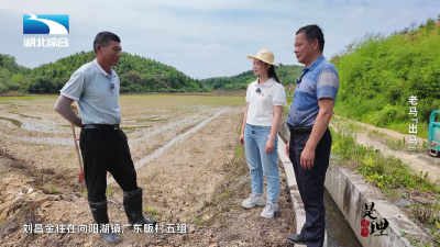 《是这个理》：老马“出马”