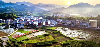 山乡蝶变记