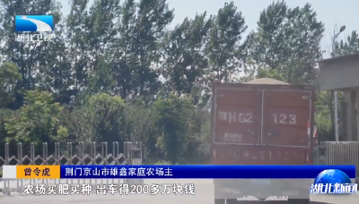 牢记嘱托 建成支点 | “画像”替代抵押 湖北“两农”信用贷累计放款3.85亿