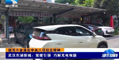 锲而不舍落实中央八项规定精神 | 武汉东湖新城：党建引领 巧解充电难题
