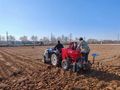 孝感云梦：三九寒冬播种忙 地膜土豆育丰年