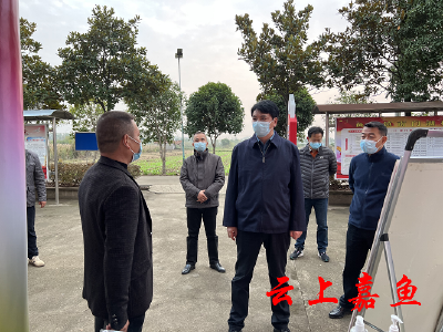 【宣讲进行时】县长胡金云南门湖村调研强调：贯彻落实党的二十大精神推动村级工作迈向新台阶