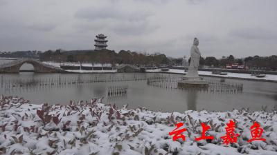 二乔公园银妆素裹，市民纷纷打卡赏雪