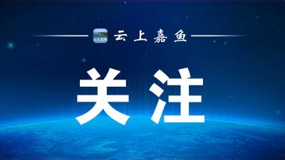 【新春走基层】嘉鱼政务服务春节不打烊