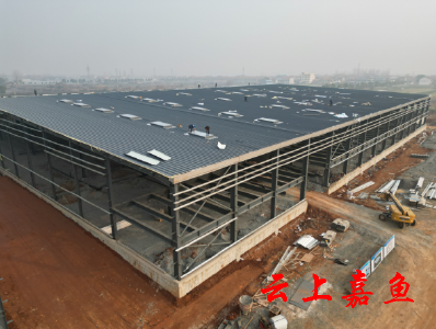 【学习贯彻二十大 奋力实现开门红】浙江浔味堂食品嘉鱼加工园项目加紧建设中