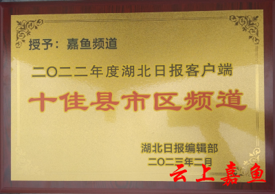 嘉鱼县融媒体中心喜获全省“县级媒体十强”和“县市区频道十佳”