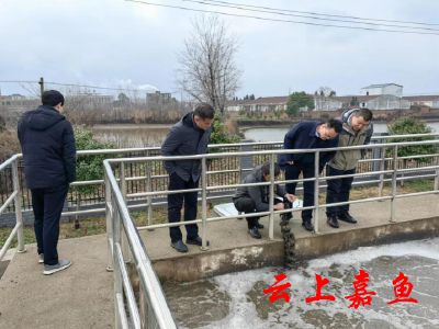 省住建厅调研组来嘉调研乡镇污水处理工作