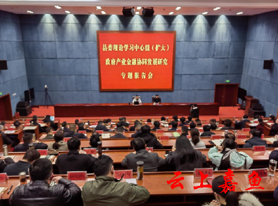 县委理论学习中心组（扩大）举行政府产业金融协同发展研究专题报告会