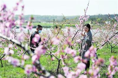 踏青赏花 乐享春光