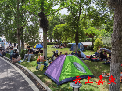 嘉鱼县文化和旅游局不文明旅游行为曝光台