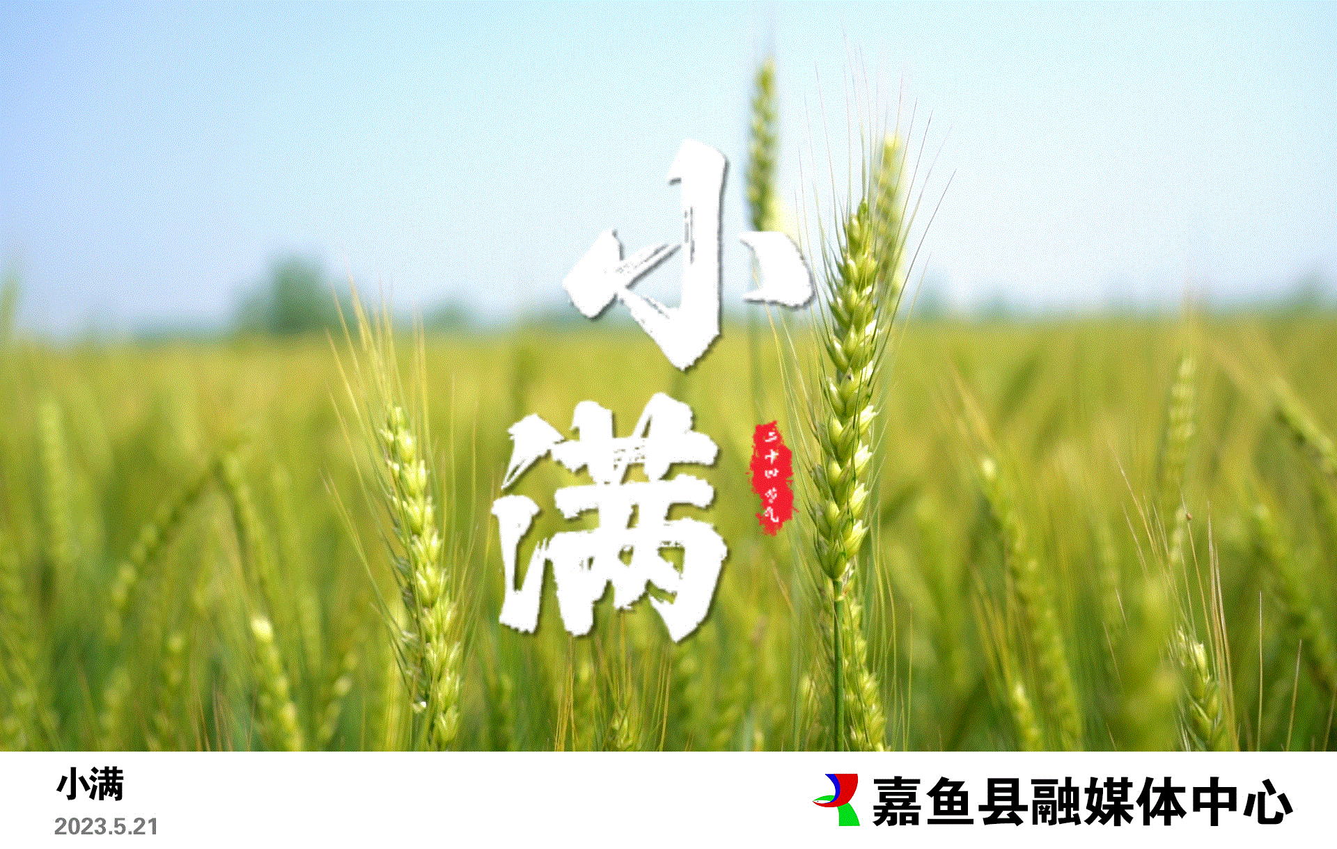 【主播说节气】二十四节气之小满