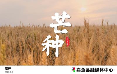 【主播说节气】二十四节气之芒种