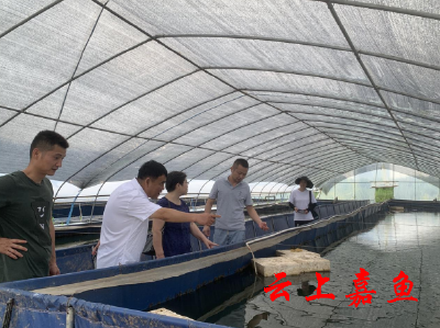 县关工委到渡普镇开展水蛭养殖调研