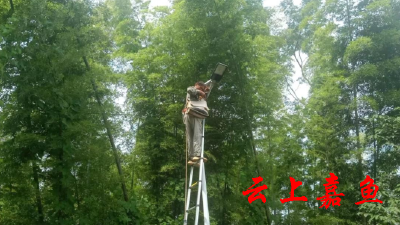 官桥镇白湖寺村：检修路灯设施 照亮美丽乡村