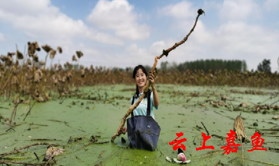 桂婳荣获“全省十佳农民”
