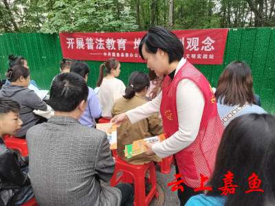 【文明嘉鱼】小湖社区开展普法教育宣传活动