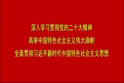 2023年11月11日嘉鱼新闻