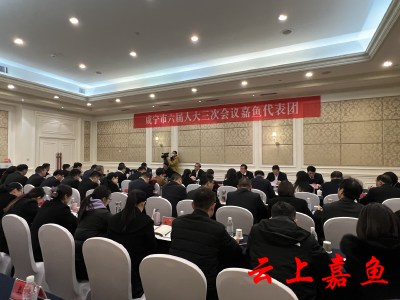 市领导继续参加咸宁市六届人大三次会议嘉鱼代表团分团审议