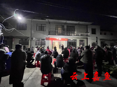 潘家湾镇肖家洲村：夜话“共同缔造”，共建美好家园