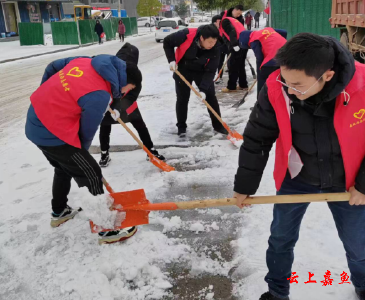 【防范应对新一轮低温雨雪冰冻天气】县政府办公室开展扫雪除冰活动