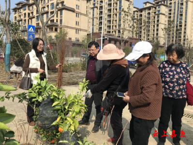 嘉鱼：苗木花卉市场新春开市