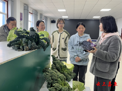 团青助力共同缔造 团县委开展青年电商培训 为产业发展赋能