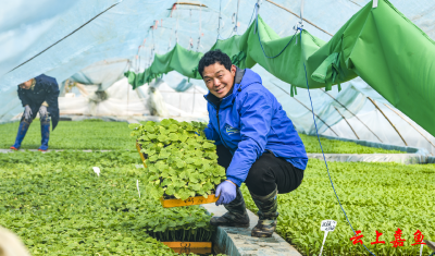 组图丨嘉鱼：人勤春来早 春耕育苗忙