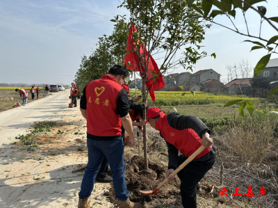 潘家湾镇：学习雷锋扬奉献精神 植树添绿亮青春风采